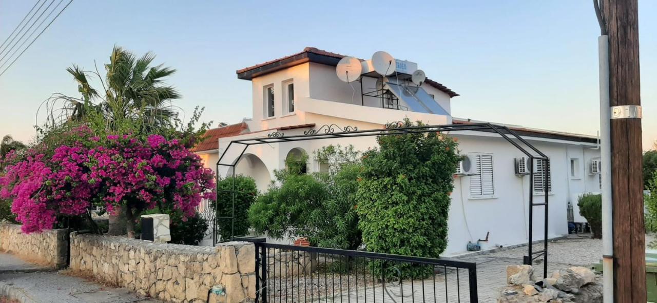 Villa Bougainvillea With Privite Pool Василия Экстерьер фото